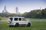 Mercedes-AMG G63 463 Edition 2015 года